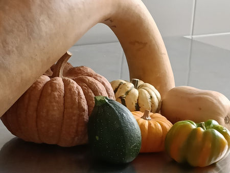Le 19 octobre 2022 Cuisinons et frissonnons en cuisine à l'approche d'Halloween !