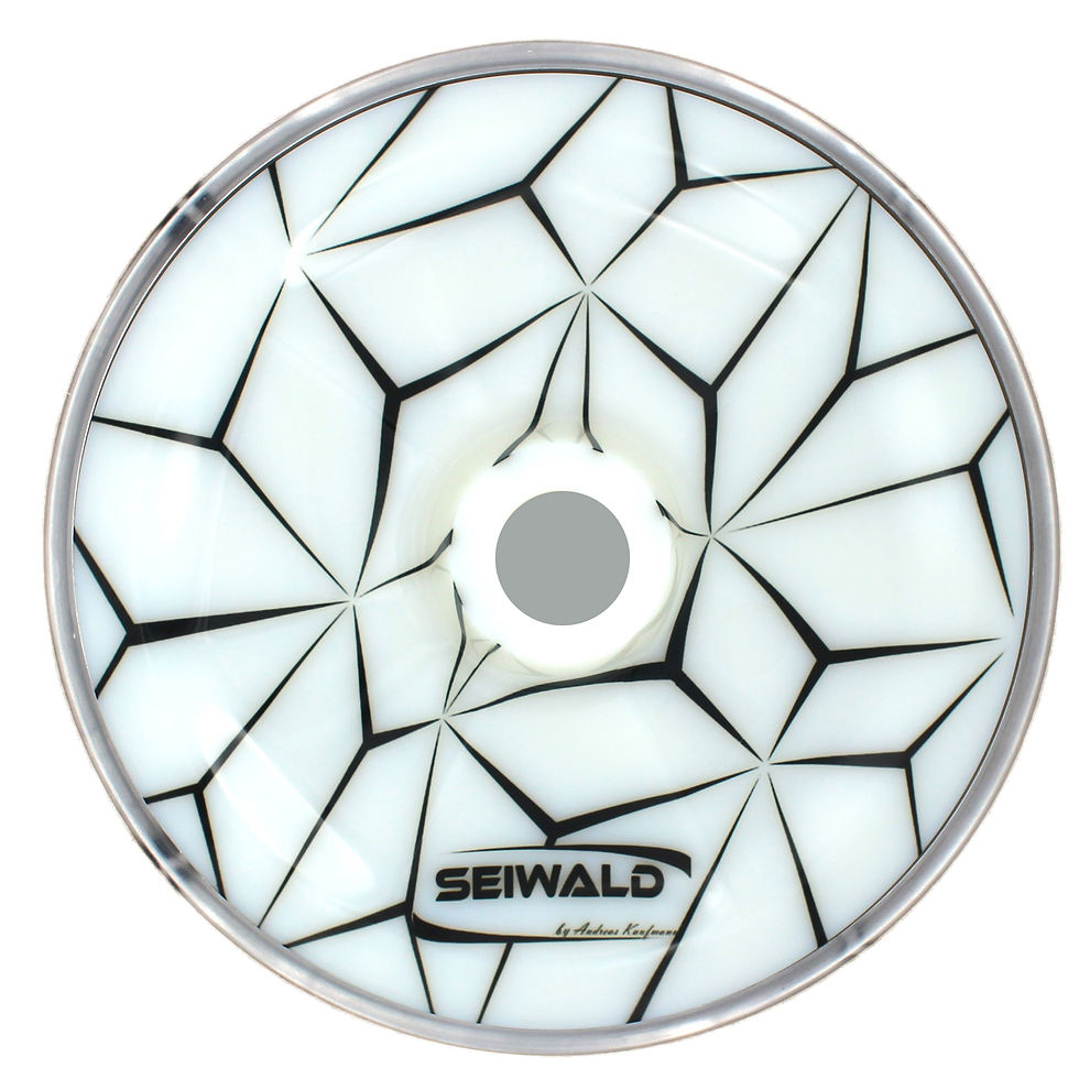 Miniaturbild: Seiwald Eisstock / Stockkörper "Diamant - Serie"