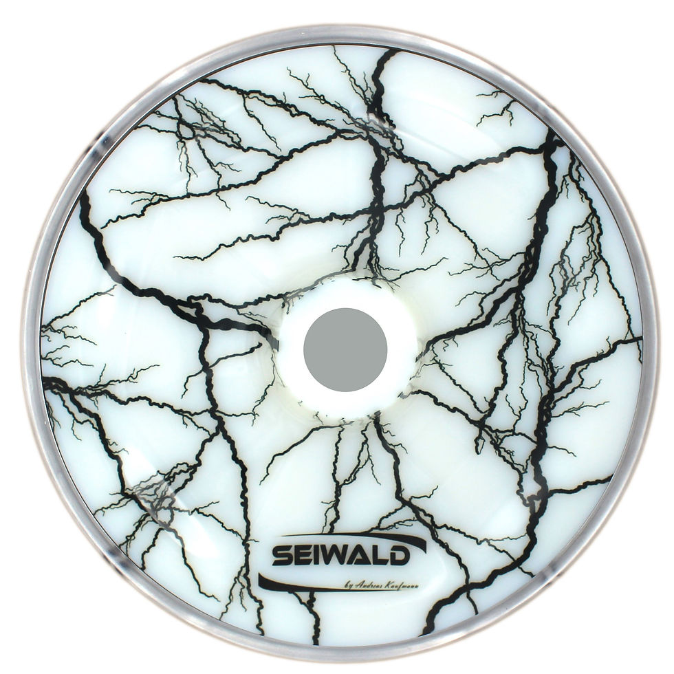 Miniaturbild: Seiwald Eisstock / Stockkörper "Flash - Serie"