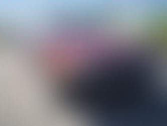 SL Best Car Clean – Ihr Partner für Fahrzeugaufbereitung in Allensbach