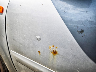 Professionelle Flugrostentfernung bei SL Best Car Clean am Bodensee