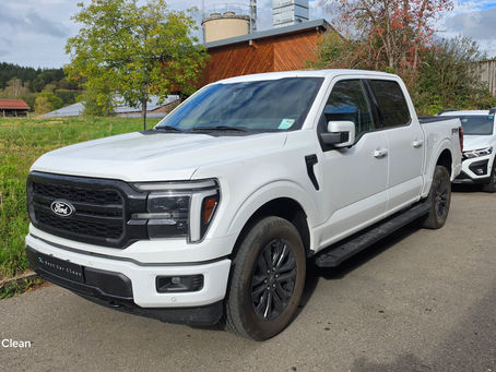 Perfekter Rostschutz für Ford F-150: Hohlraumversiegelung & Unterbodenschutz bei SL Best Car Clean