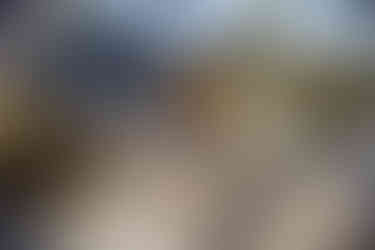 Gründliche Innenraumreinigung und Lederpflege in Allensbach