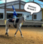 Sommerferienprogramm | Voltigieren für Anfänger