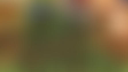 Fruit Festival A Success!