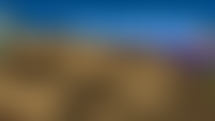 Updates this past week on The Island.