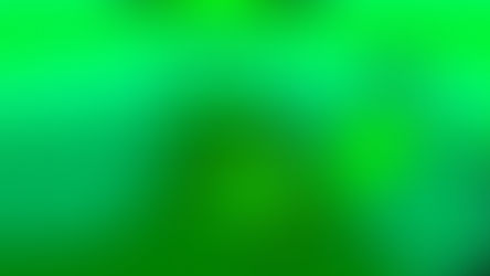 Top 28 Parties! #5: ST. Patrick's Party 2012!