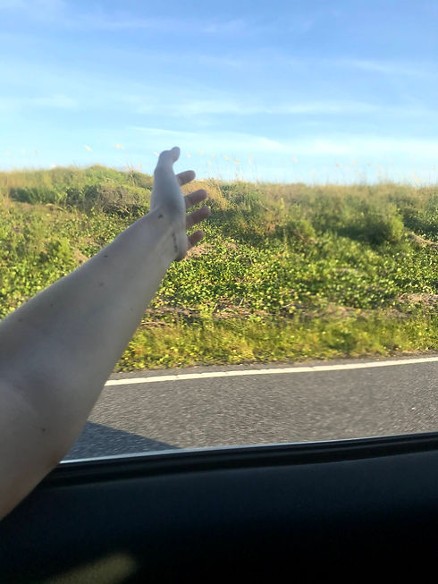 IMG_0570.jpeg
