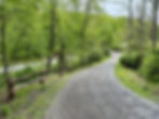 Gravel driveway winding through a lush wooded area