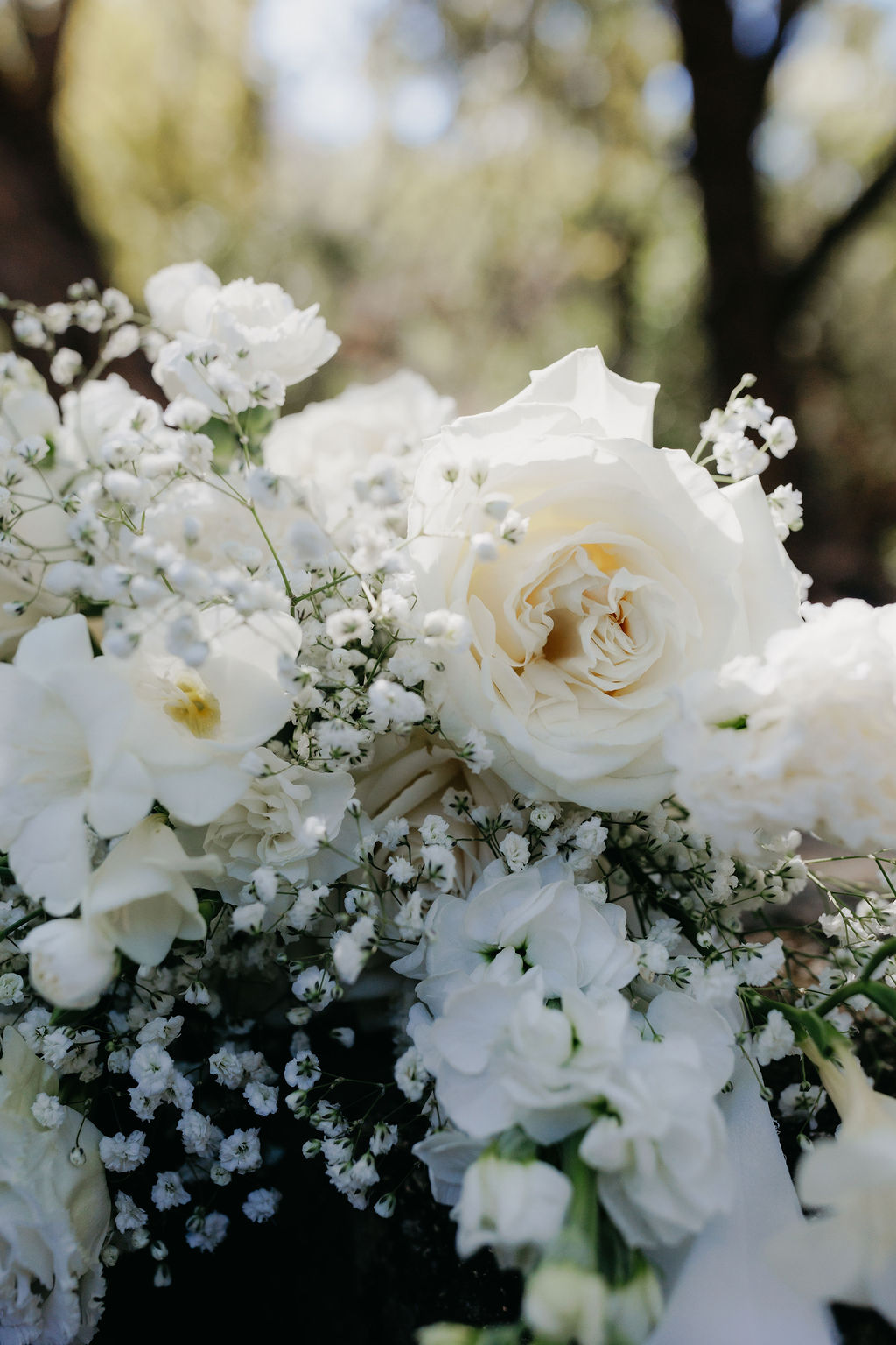 The Broome Florist — photo 9 of 17