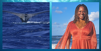 eventbrite cover image resize (4).png