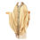 Thumbnail: Chasuble