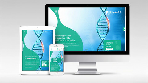 Rivaara Labs molecular diagnostics healthcare  -comprehensive brand identity design & architecture – Pavan Java Studio Mumbai