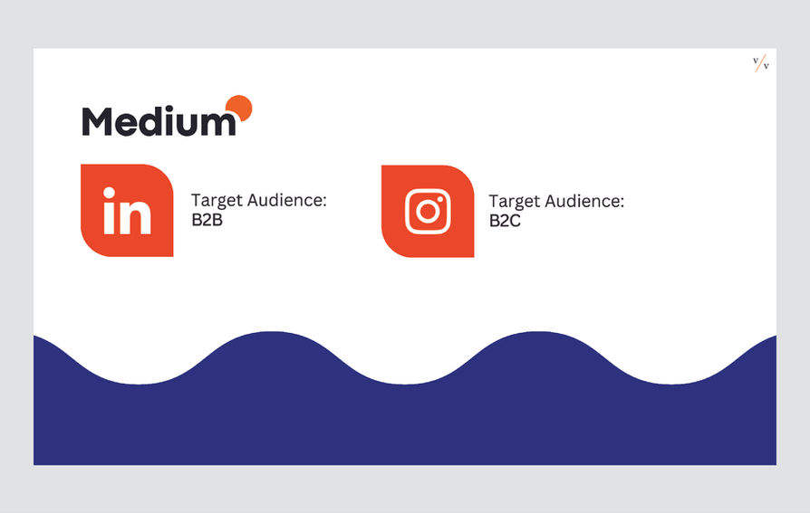 LinkedIn B2B Instagram B2C platform strategy slide — digital branding agency Mumbai India | Pavan Java Studio