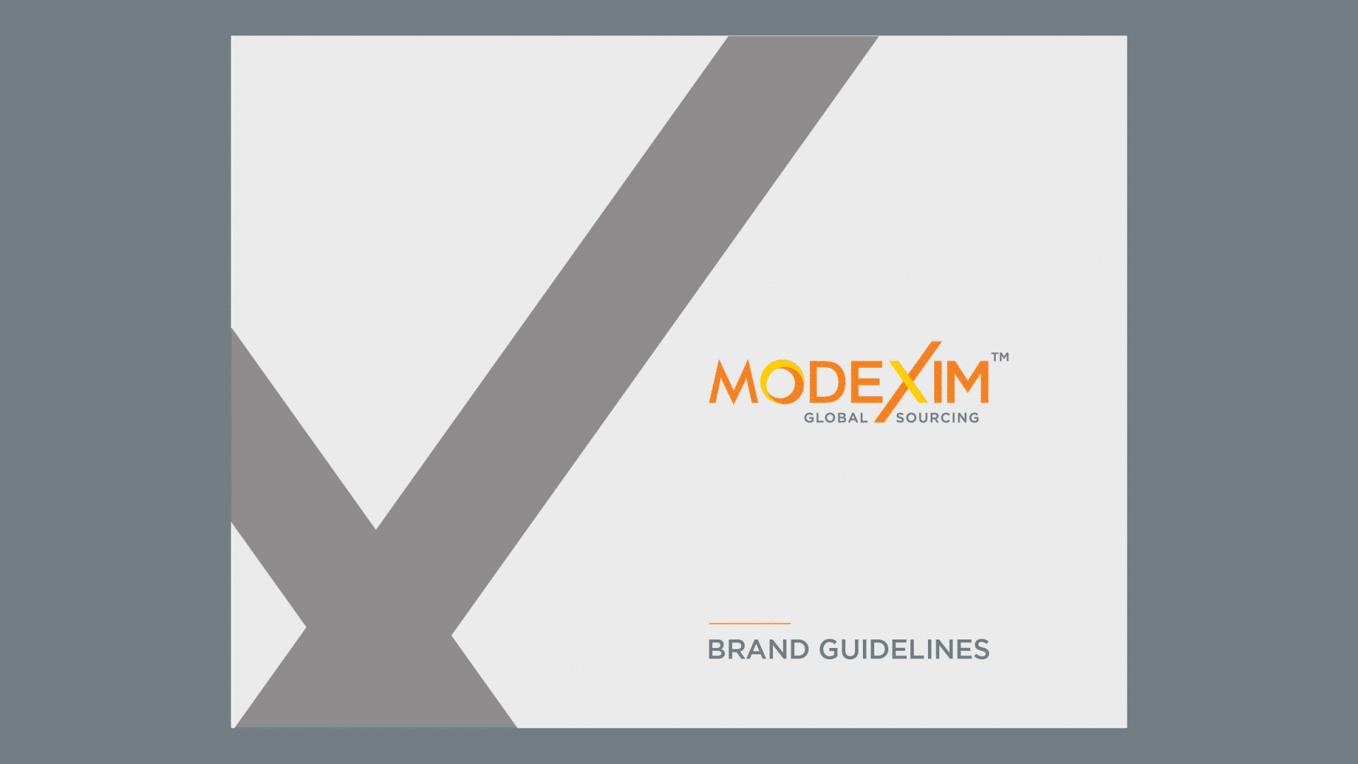 ModExim Brand Manual.gif