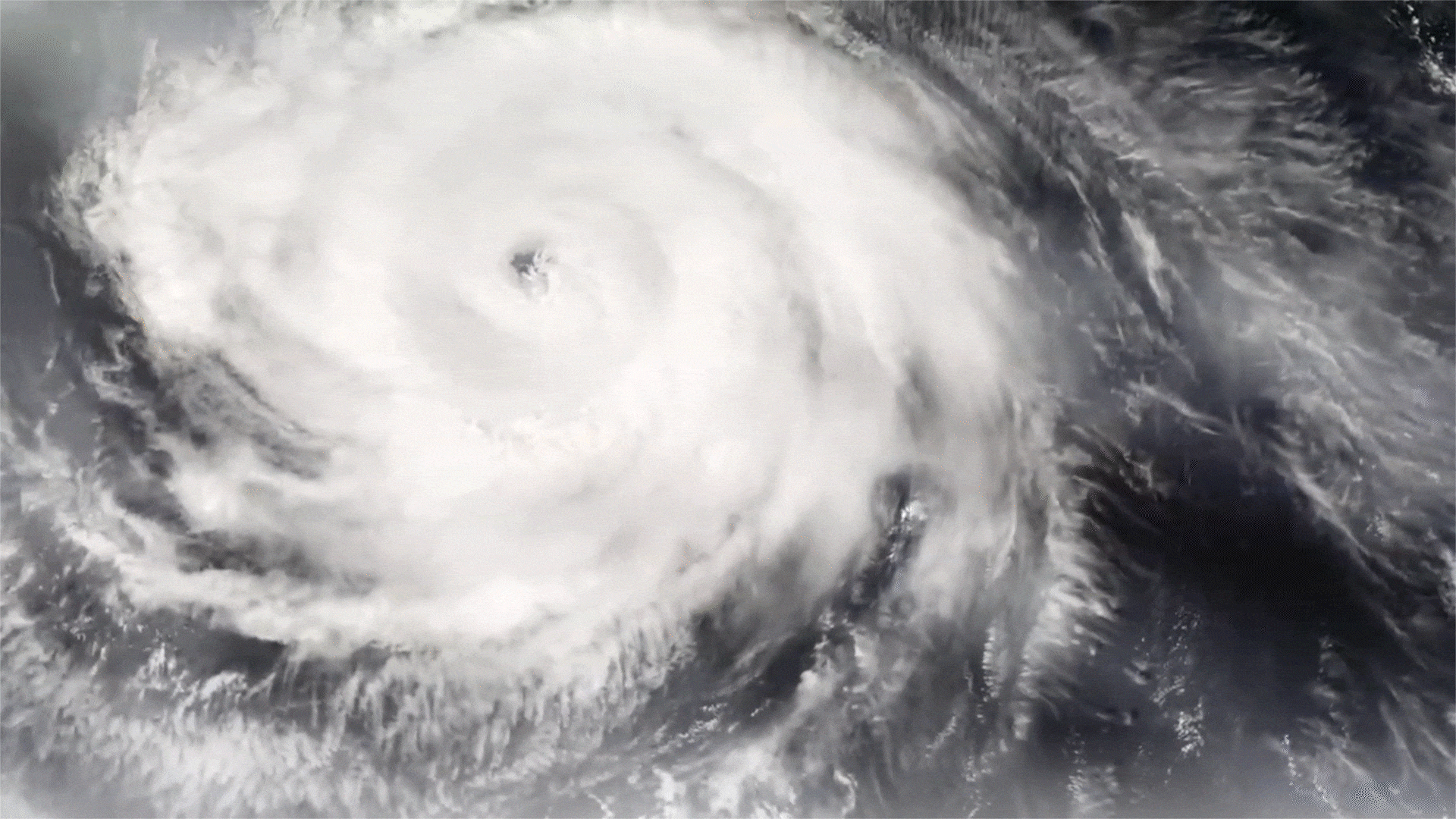 Modern India Limited Logo Concept.gif