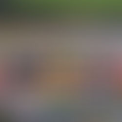 WE NEED YOU! Support AB880 / SB872 to protect Motorsports in Wisconsin.