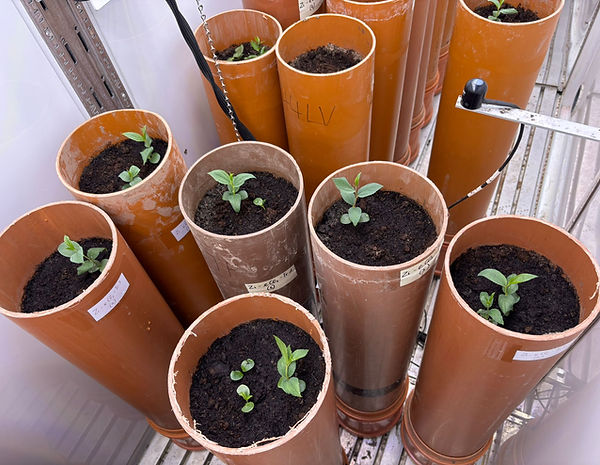 WhatsApp Image 2026-02-20 at 14.43.56.jpeg