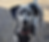 17989890643120497_edited.png