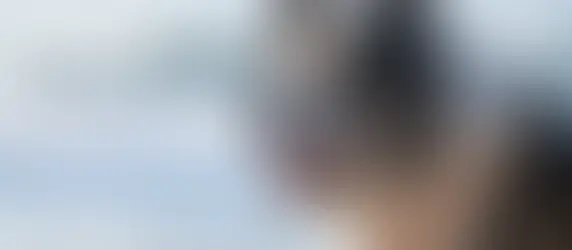 Campanha conscientiza sobre o abandono animal. É crime!