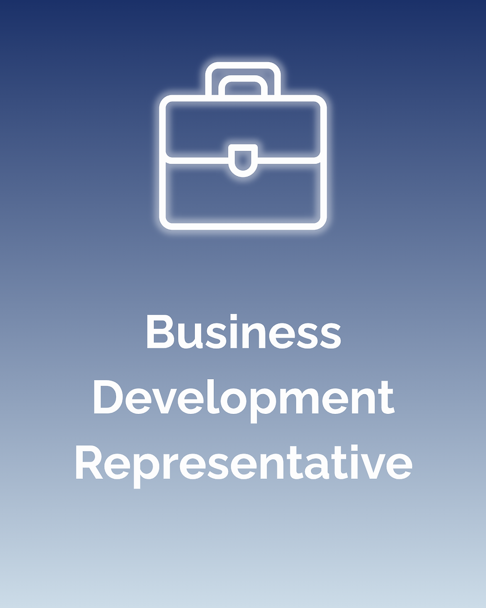 Website - Sales Placements (1).png