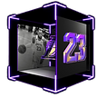 nbatopshotlebron.PNG