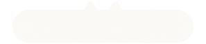 bouton chat ok.png