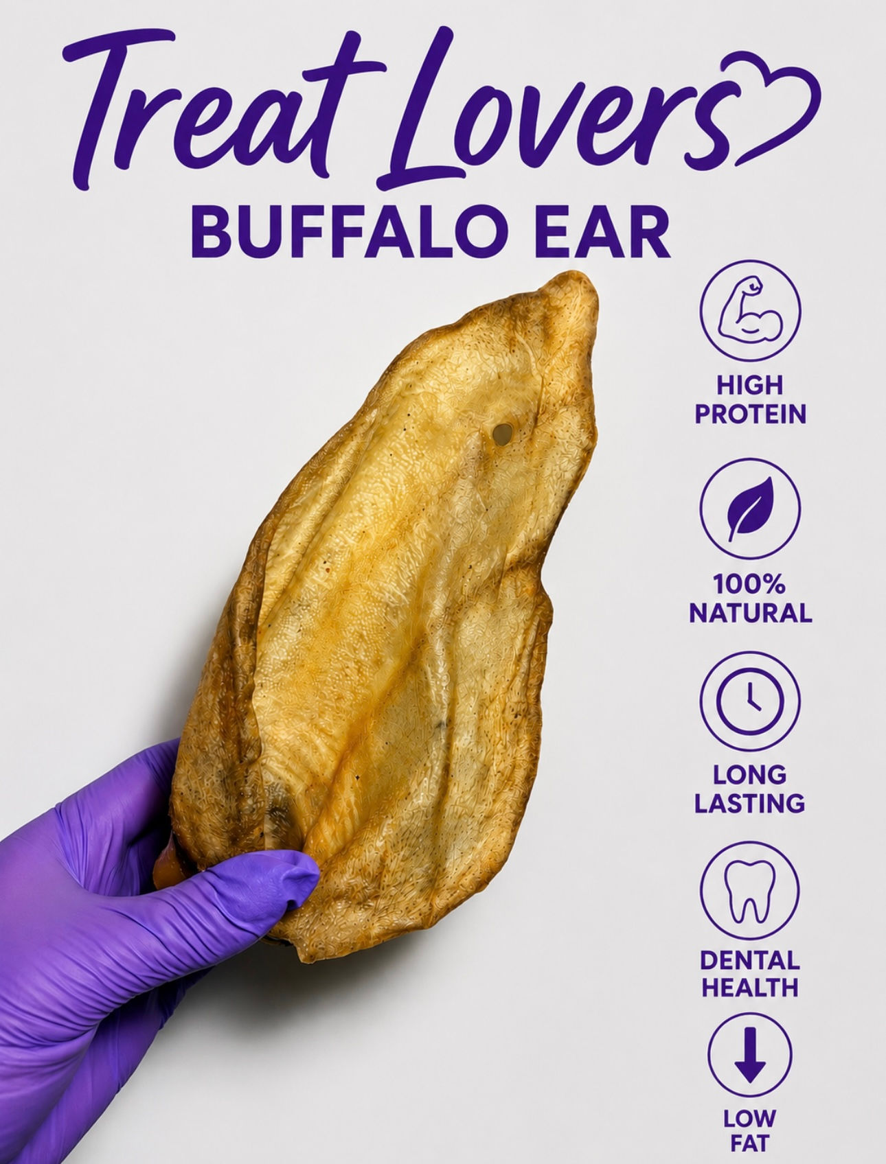 Large Buffalo Ear