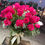 サムネイル： 51 HOT PINK PREMIUM Roses in Heavy Duty Vase 