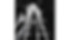 shadows_Saulo Inácio (1).png