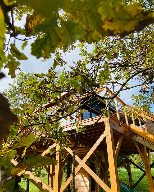 cabane-dans-les-arbres-pyrénées