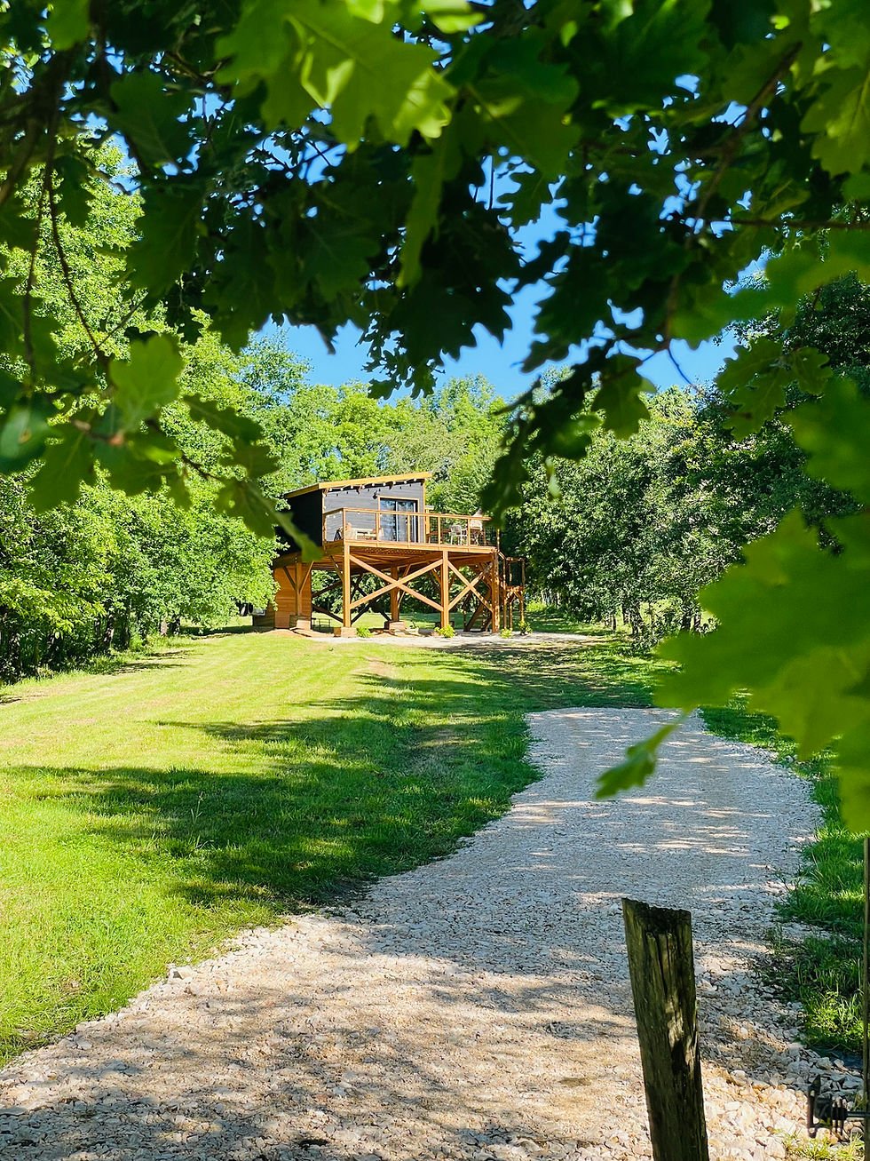 Miniature : 1 Nuit insolite en Cabane dans les arbres + 2 Petits-Déjeuners