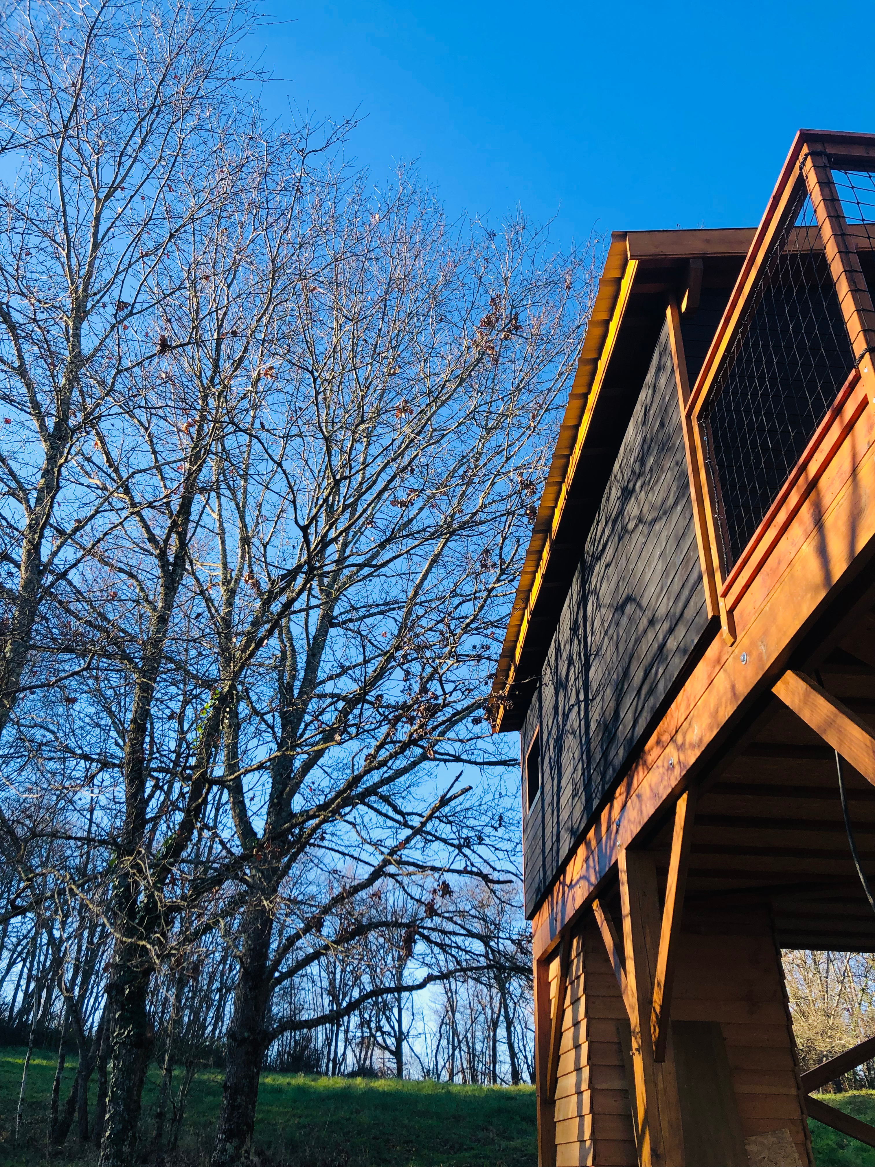 Bon Cadeau DUO 2h15 Massage Perché + Jacuzzi (en Cabane)