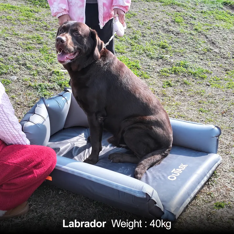 Thumbnail: JessiGo Outdoor Pet Airpad Bed