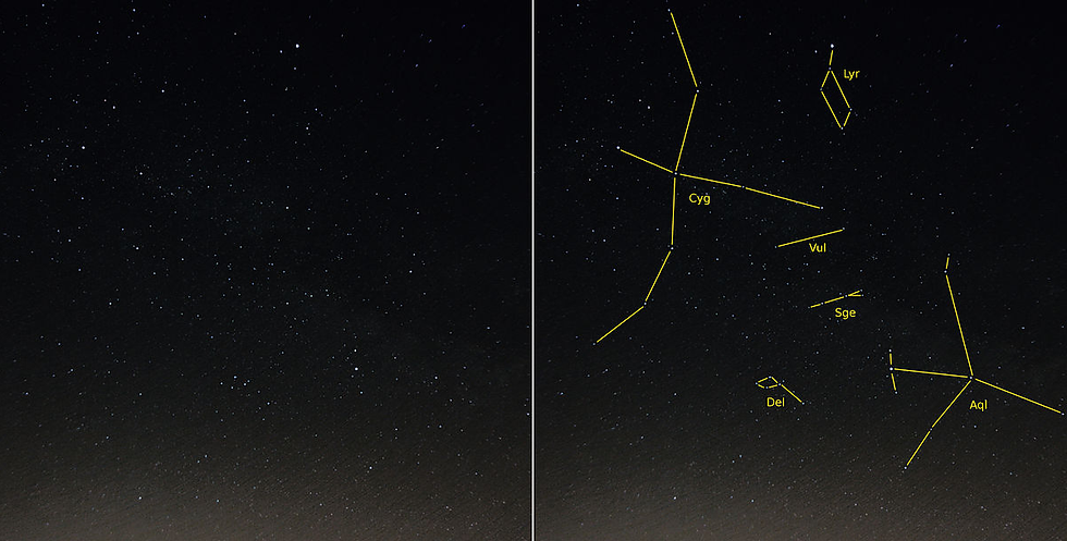 Photo : Thomas Bresson