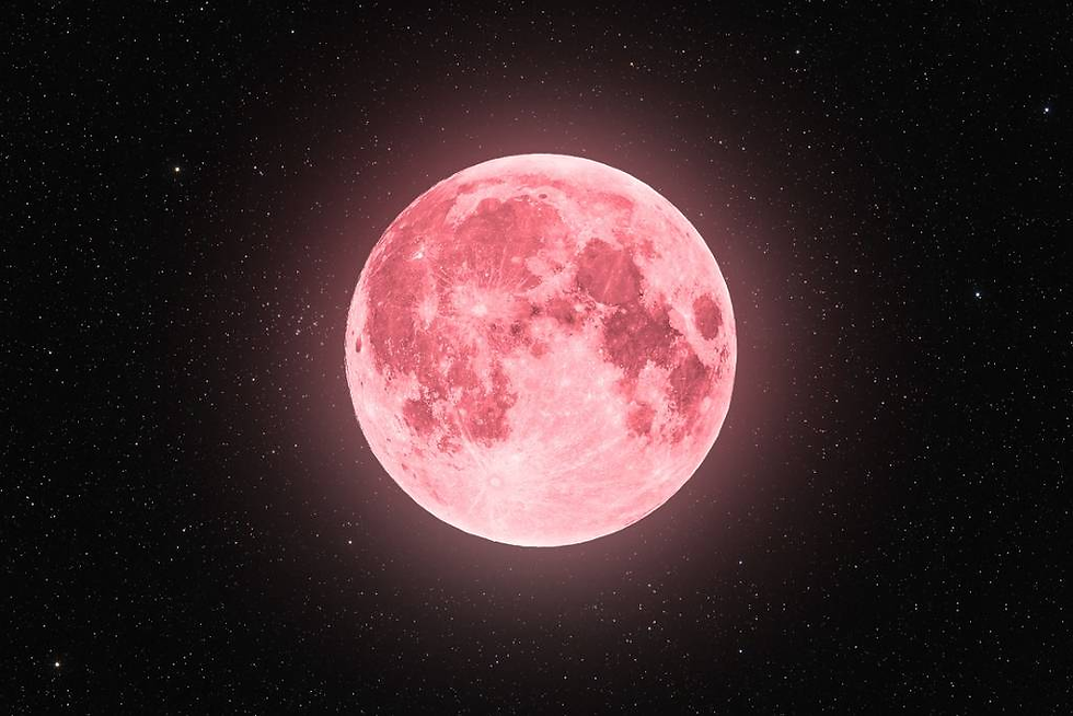 Shutterstock / Lukasz Pawel Szczepanski