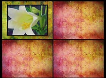 LILIES.JPG