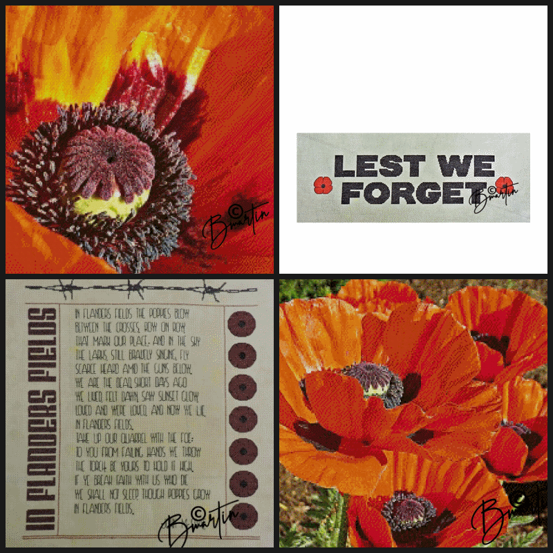 REMEMBRANCE-DAY01.gif