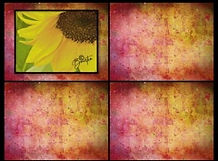 SUNFLOWERS.JPG