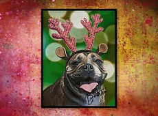 A GRINCHY SMILE sm.JPG