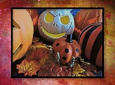 JACKS PUMPKIN PATCH sm.JPG