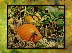 great pumpkin.JPG