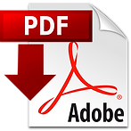 pdf-icon-copy-min.png