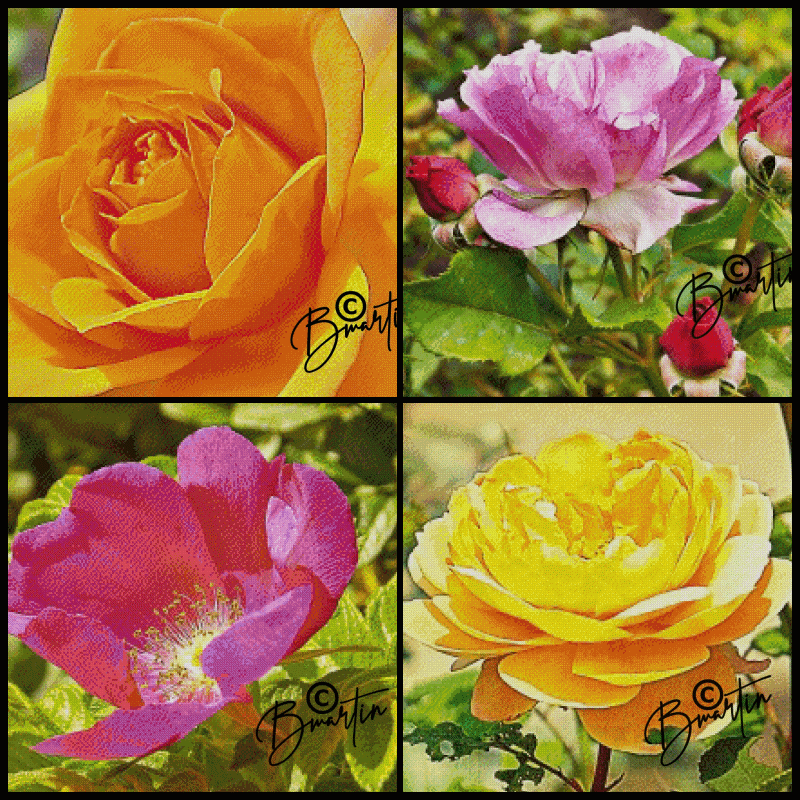 ROSES01.gif