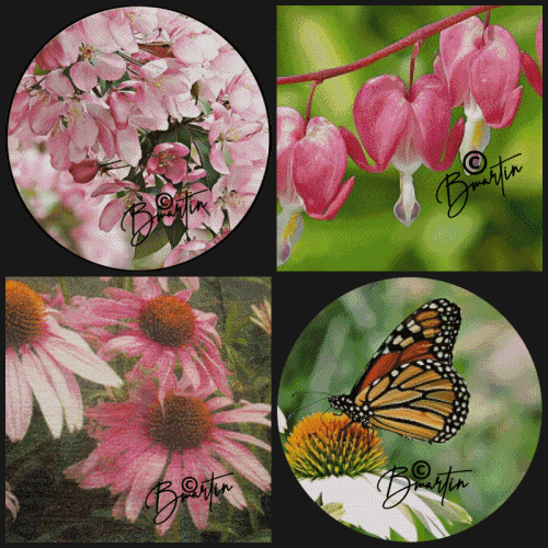 FLORALS-FOLIAGE THEME.gif