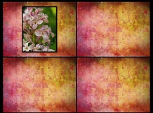 LILACS.JPG
