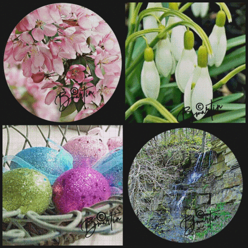 SPRING THEME.gif