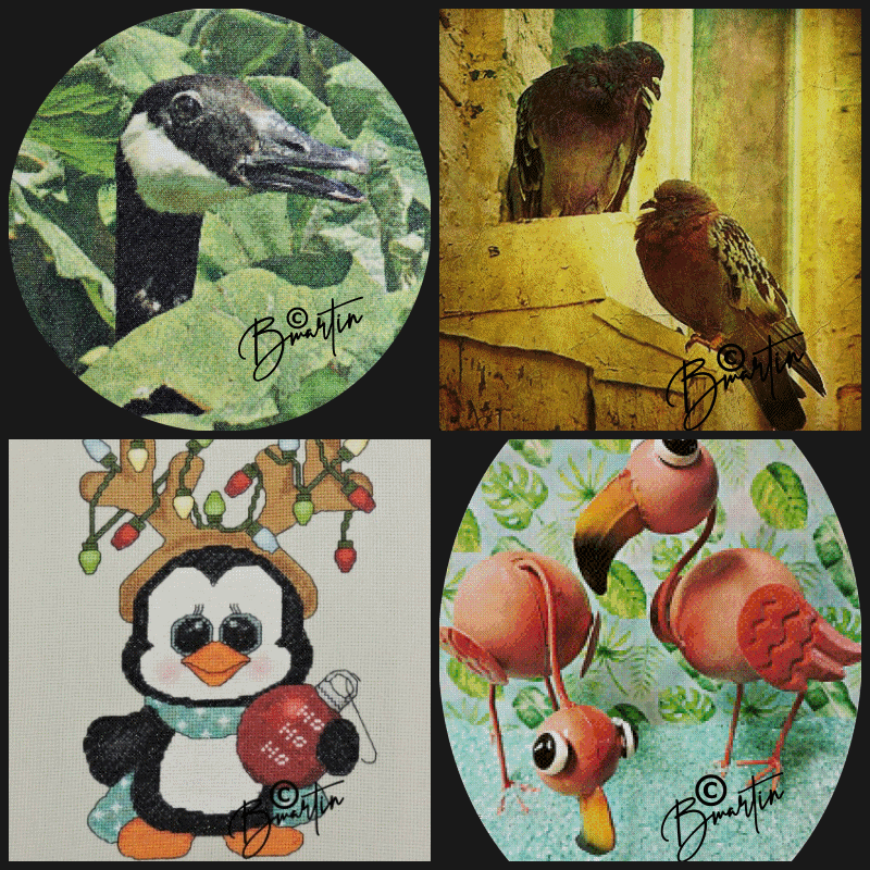BIRDS01.gif