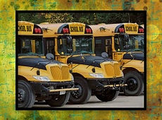 bus sm.JPG