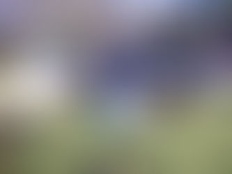 A Great Weekend with Big Blue